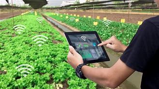 智能农业发展：农业数字化的未来