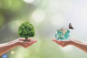 绿色行动：环保与可持续生活应用指南