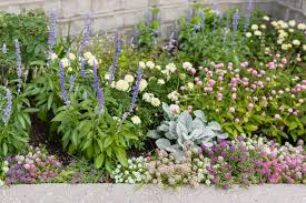 庭院趣味：园艺与家庭种植类APP推荐