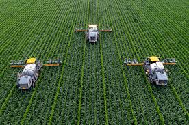 农业科技：APP提升农作效率