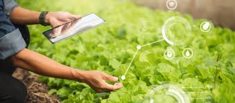 提升农业生产的农业科技应用