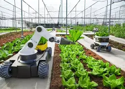 智能化农业的突破与挑战