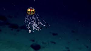 海洋探索的技术突破