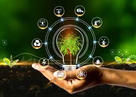 智能生物技术的应用与发展