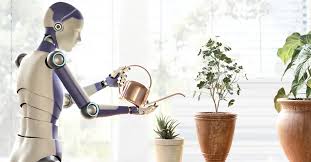 智能机器人在家庭的可能性