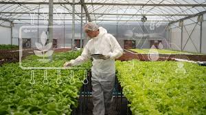 智能化农业应对全球粮食挑战