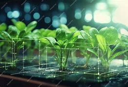 智能化农业实现精准种植