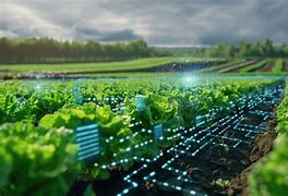 结合大数据的智慧农业实践