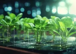 智能农业实现精准栽培